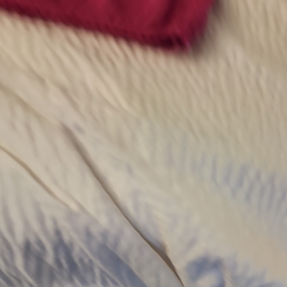 Pink Rose Women's Sweater - Vibrant Pink - Picture 6 of 13